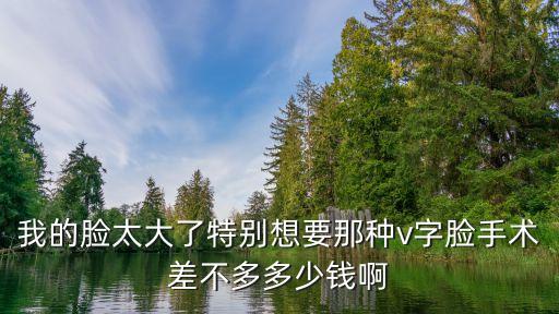 我的臉太大了特別想要那種v字臉手術差不多多少錢啊