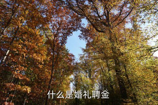 什么是婚禮聘金