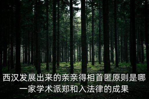 西漢發(fā)展出來的親親得相首匿原則是哪一家學(xué)術(shù)派鄭和入法律的成果