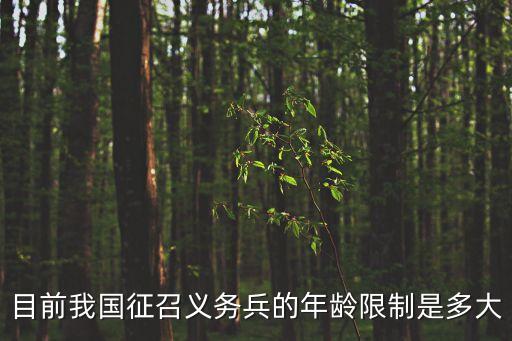 目前我國(guó)征召義務(wù)兵的年齡限制是多大