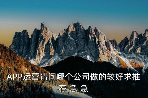 APP運(yùn)營(yíng)請(qǐng)問(wèn)哪個(gè)公司做的較好求推薦 急 急