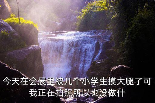 今天在會(huì)展里被幾個(gè)小學(xué)生摸大腿了可我正在拍照所以也沒(méi)做什