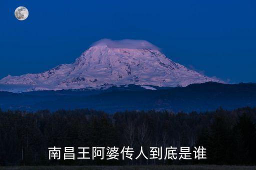 南昌王阿婆傳人到底是誰