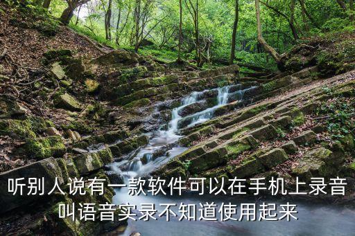 聽別人說有一款軟件可以在手機上錄音叫語音實錄不知道使用起來