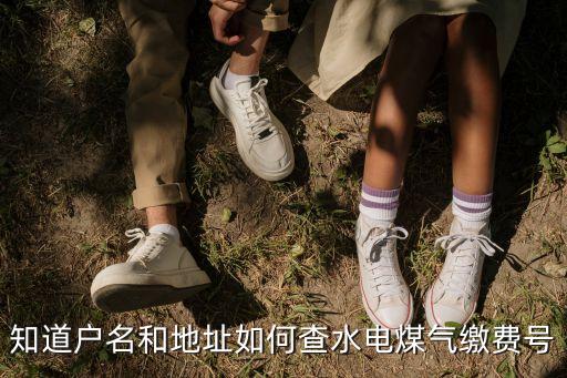 95598水費(fèi)戶號(hào)網(wǎng)上查詢，怎么樣能查到水費(fèi)戶號(hào)