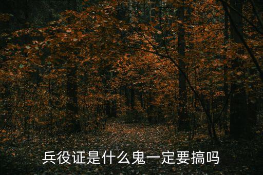 兵役證是什么鬼一定要搞嗎