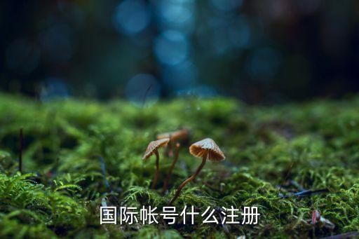 國際帳號什么注冊