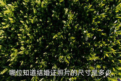 結(jié)婚照證件照尺寸，結(jié)婚證照片的尺寸是多少