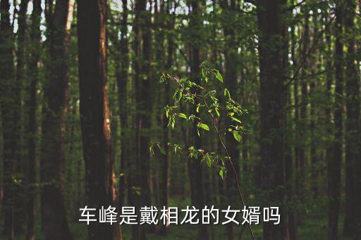 車峰是戴相龍的女婿嗎