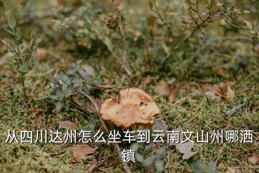 從四川達(dá)州怎么坐車到云南文山州哪灑鎮(zhèn)