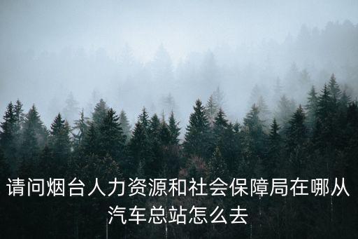 煙臺(tái)人社局，請(qǐng)問(wèn)煙臺(tái)人力資源和社會(huì)保障局在哪從汽車總站怎么去
