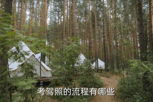 考駕照的流程有哪些