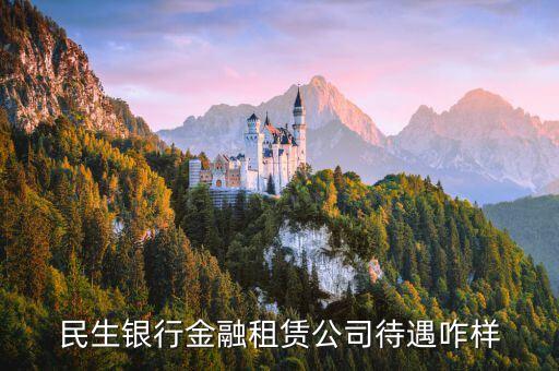 民生銀行金融租賃公司待遇咋樣