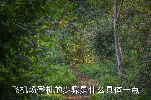 飛機場登機的步驟是什么具體一點