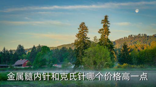 金屬髓內(nèi)針和克氏針哪個(gè)價(jià)格高一點(diǎn)