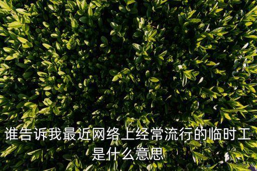 臨時(shí)工是什么意思，誰(shuí)告訴我最近網(wǎng)絡(luò)上經(jīng)常流行的臨時(shí)工是什么意思