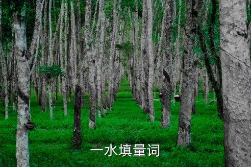 南河一，一水填量詞