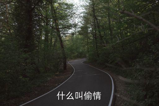 偸情，什么叫偷情