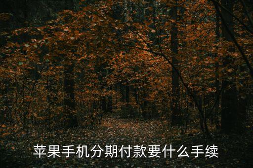 蘋果分期付款，蘋果手機(jī)分期付款要什么手續(xù)