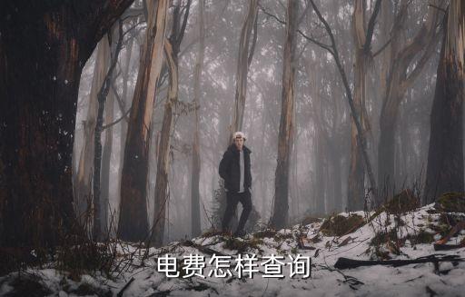 怎么查詢電費，電費怎樣查詢