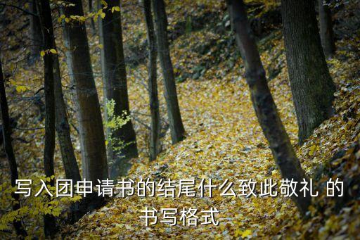 申請(qǐng)書(shū)結(jié)尾怎么寫(xiě)，申請(qǐng)書(shū)結(jié)尾格式