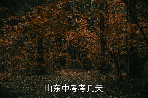 中考幾天，山東中考考幾天