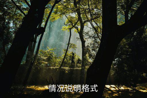 情況說(shuō)明格式