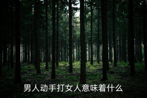男人動(dòng)手打女人意味著什么