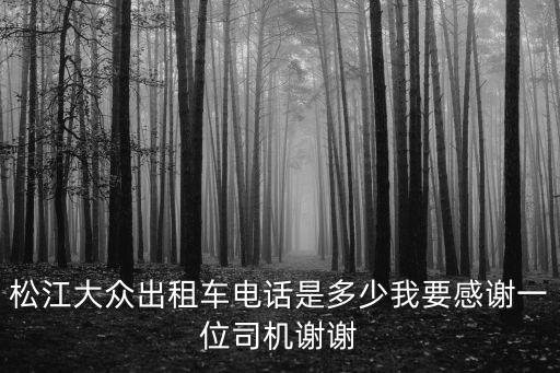 松江大眾出租車電話是多少我要感謝一位司機(jī)謝謝