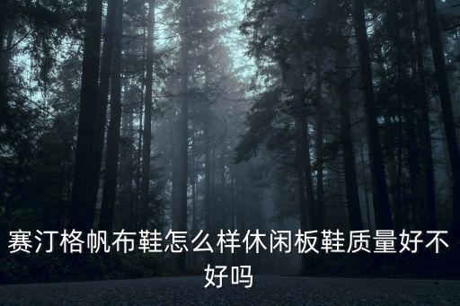 賽汀格，賽汀格男鞋在甚么鞋店買