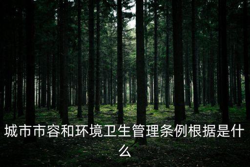 市容管理，市容局的主要管理什么