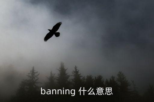 禁止的意思，丨禁止的拼音是什么