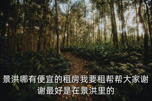 景洪租房，西雙版納景洪城的單身公寓最低的是多少一個(gè)月最好帶點(diǎn)家具的
