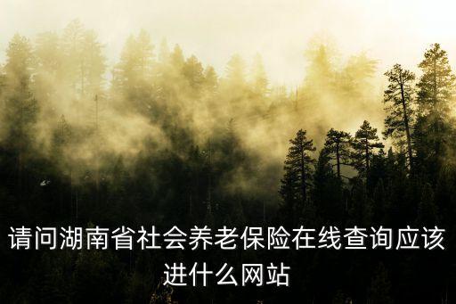 請問湖南省社會養(yǎng)老保險(xiǎn)在線查詢應(yīng)該進(jìn)什么網(wǎng)站