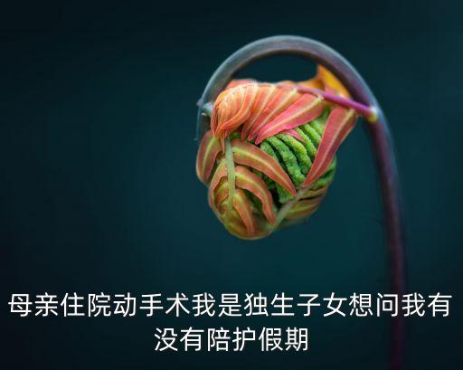 獨生子女陪護假，母親住院動手術我是獨生子女想問我有沒有陪護假期