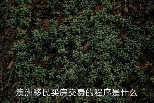 澳洲移民買房交費的程序是什么