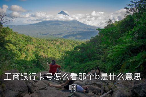 工商銀行卡號怎么看那個b是什么意思啊