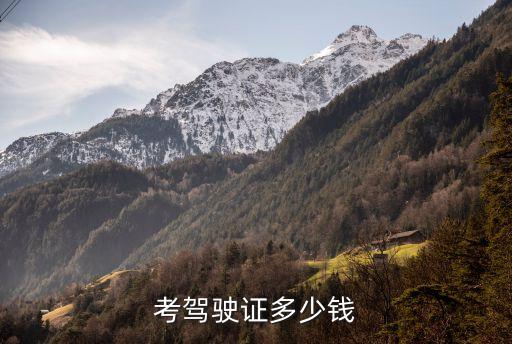 考駕駛證多少錢(qián)