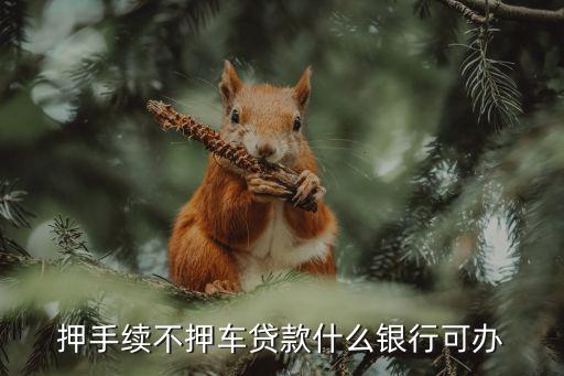 抵押貸款不押車，押手續(xù)不押車貸款什么銀行可辦