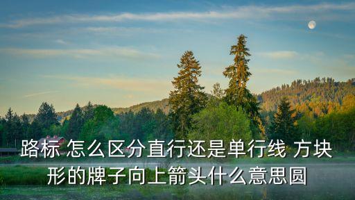 路標(biāo) 怎么區(qū)分直行還是單行線 方塊形的牌子向上箭頭什么意思圓