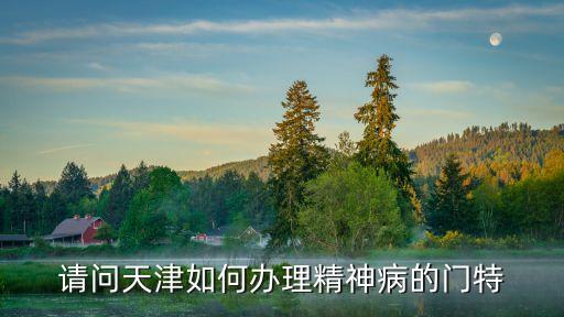 請(qǐng)問(wèn)天津如何辦理精神病的門(mén)特