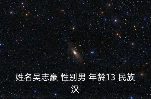 姓名吳志豪 性別男 年齡13 民族漢