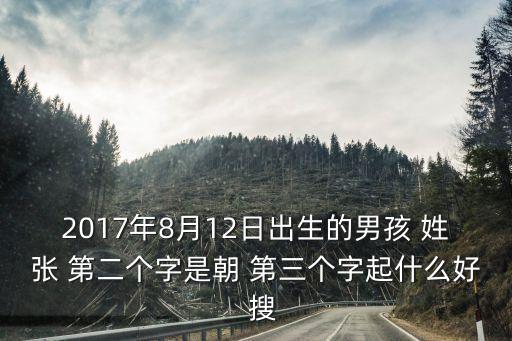 張朝偉，我姓韓老公姓張想給即將出生的兒子起個有意義的名字最好是代個