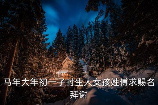 傅欣，馬年大年初一子時生人女孩姓傅求賜名拜謝