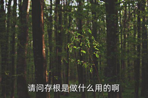 存根是什么意思，請問存根是做什么用的啊