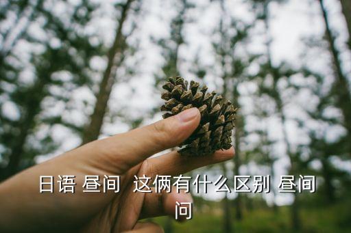 晝間，晝間指的是具體幾點到幾點