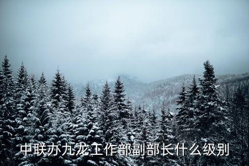 中聯(lián)辦，澳門的中聯(lián)辦是什么級別的單位