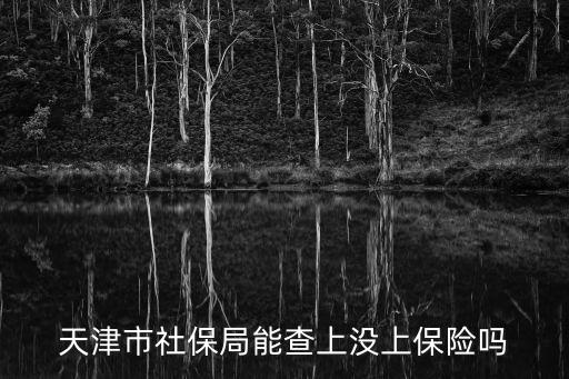 天津市社保局能查上沒上保險(xiǎn)嗎
