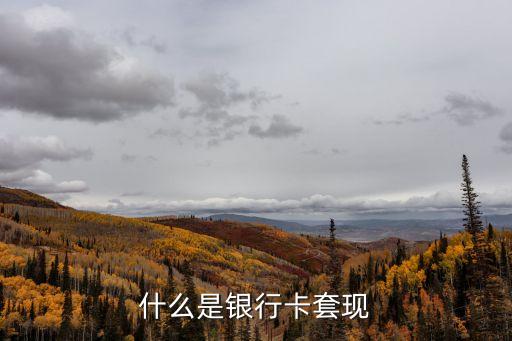 刷卡套現(xiàn)，利用信用卡進行刷卡取現(xiàn)是否違法什么罪名