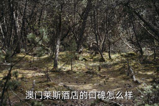澳門萊斯酒店的口碑怎么樣